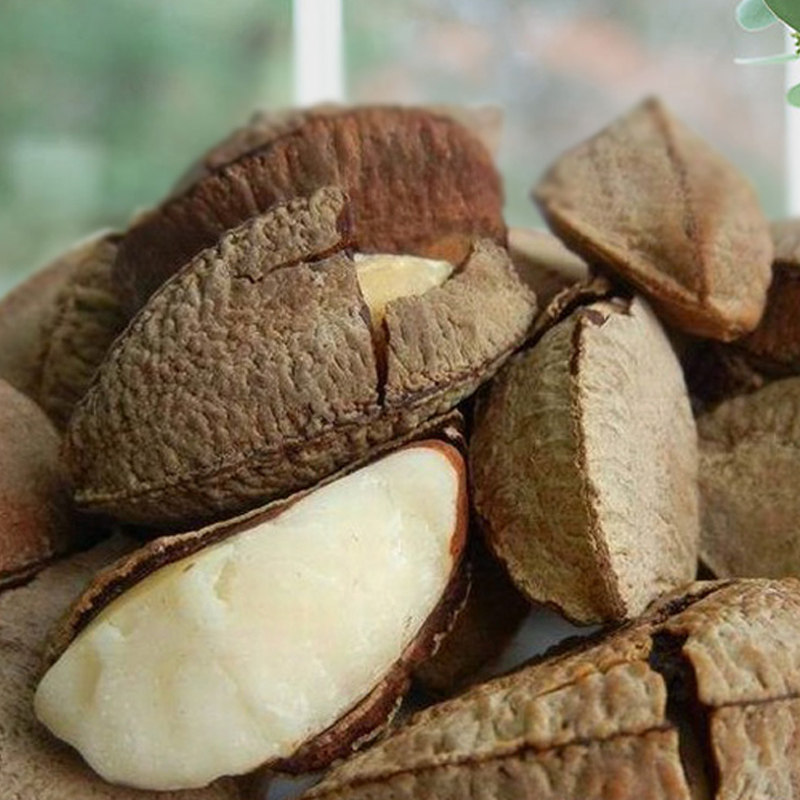 巴西坚果带壳鲍鱼果500g原味生大颗粒散装1斤装熟鲍鱼果特产干果