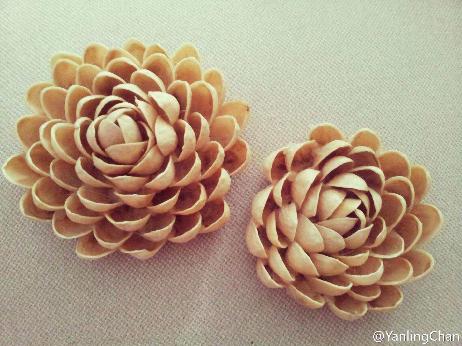 抖音开心果壳手工diy干花材料装饰画客厅工艺品500g 2份包邮