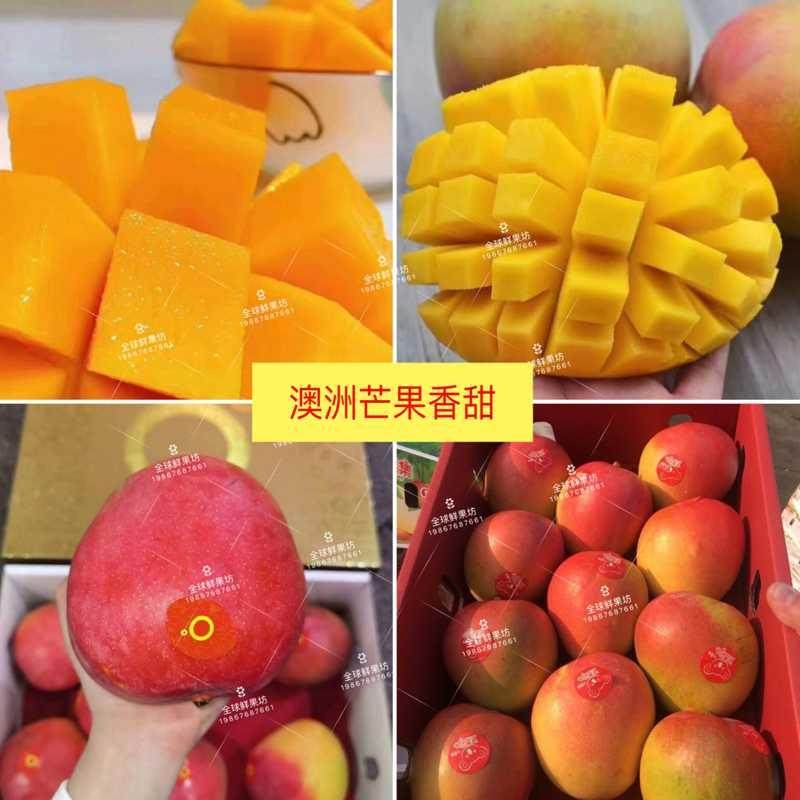 现货精选澳洲澳大利亚r2e2品种芒果澳芒新鲜水果芒果