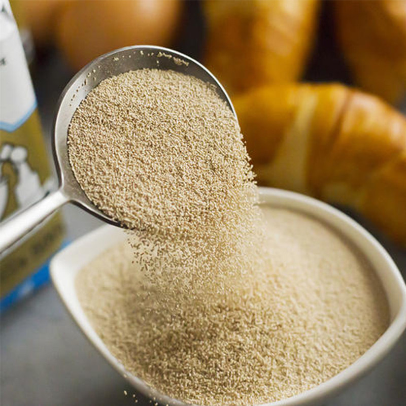 耐高酵母粉高活性5克面包专用酵母菌发酵粉家用酵母粉