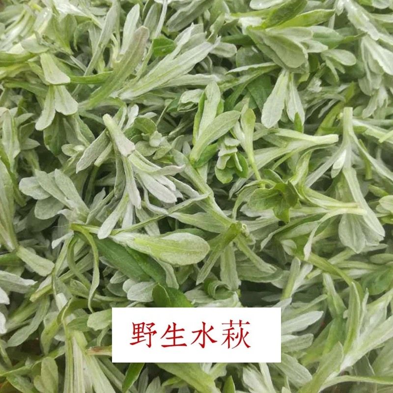 现做8个安徽太湖县土特产水菊水萩农家自制糯米大米