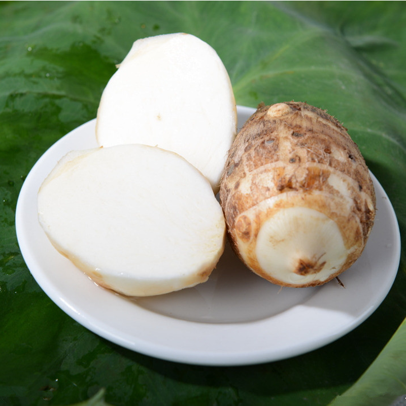 新鲜芋头香芋小毛蔬菜山东土特产农家自种5斤其它