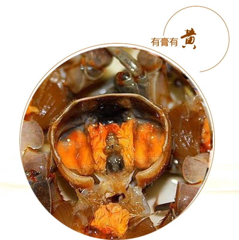 发财鲜活白玉蟛蜞蟹醉蟹螃蜞蟹黄眼蟹蟹蟹250g梭子蟹