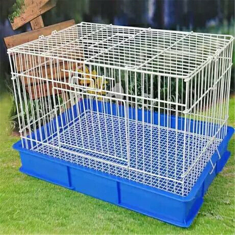 荷兰猪豚鼠天竺鼠龙猫兔子活体发货必拍运输笼外带笼饲养笼子大号