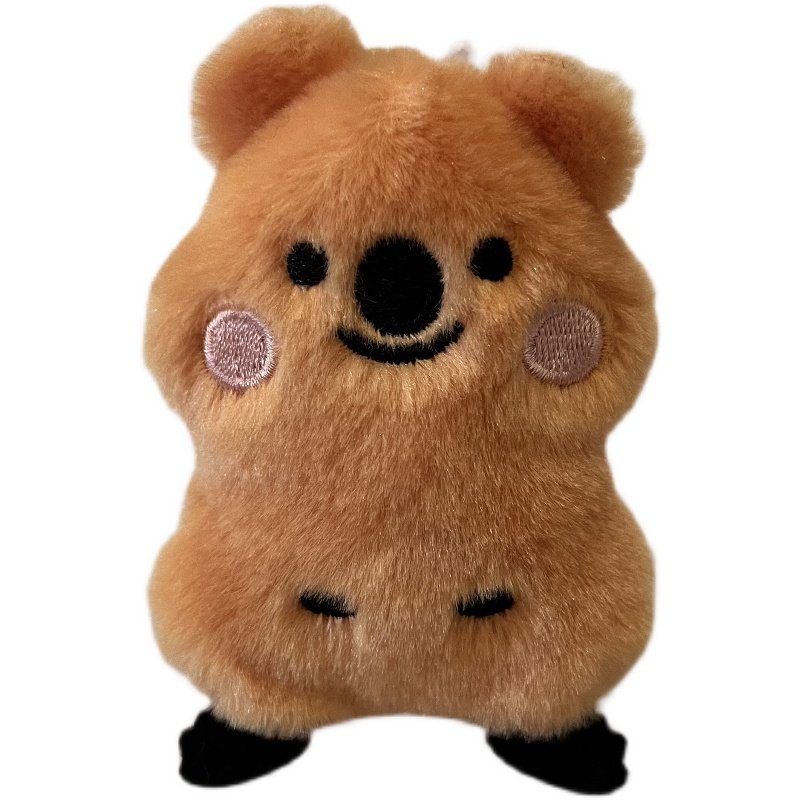可爱得很纯粹笑容阳光光的迷你靓仔小熊袋熊毛绒布艺类玩具
