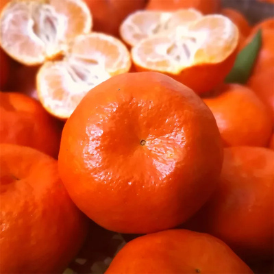 酸甜口感红橘重庆万州古红橘柑四川红袍水果陈皮桔子