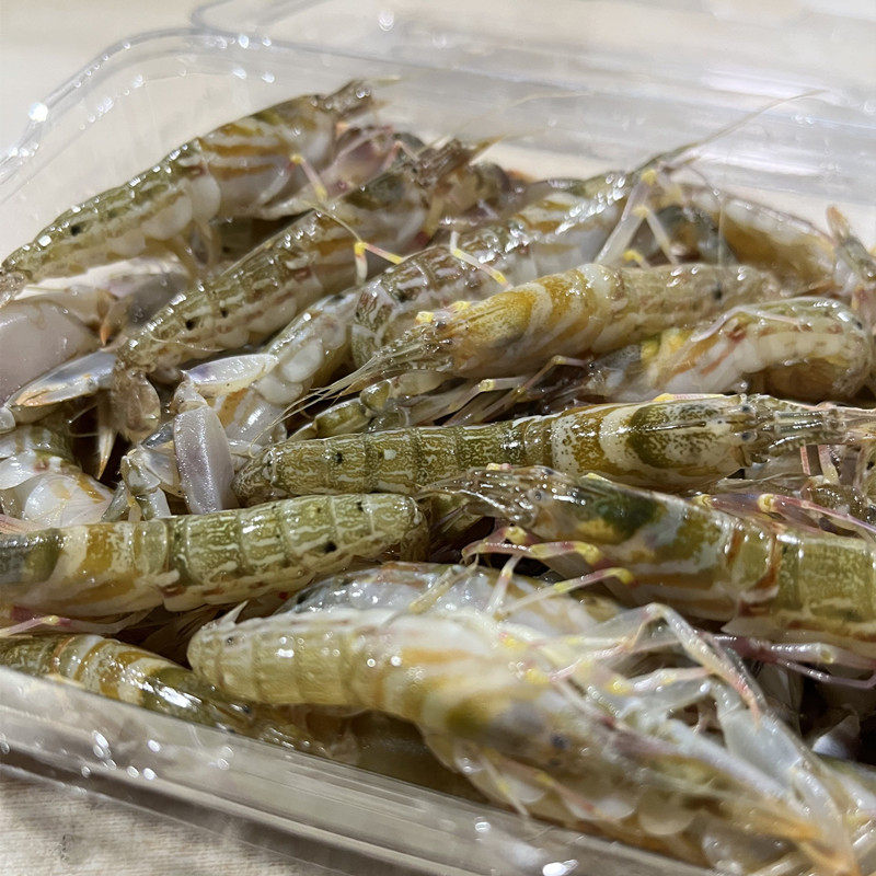 秦皇岛海鲜活大连特产狗虾花腰新鲜倒爬虾嘎嘣巴活虾