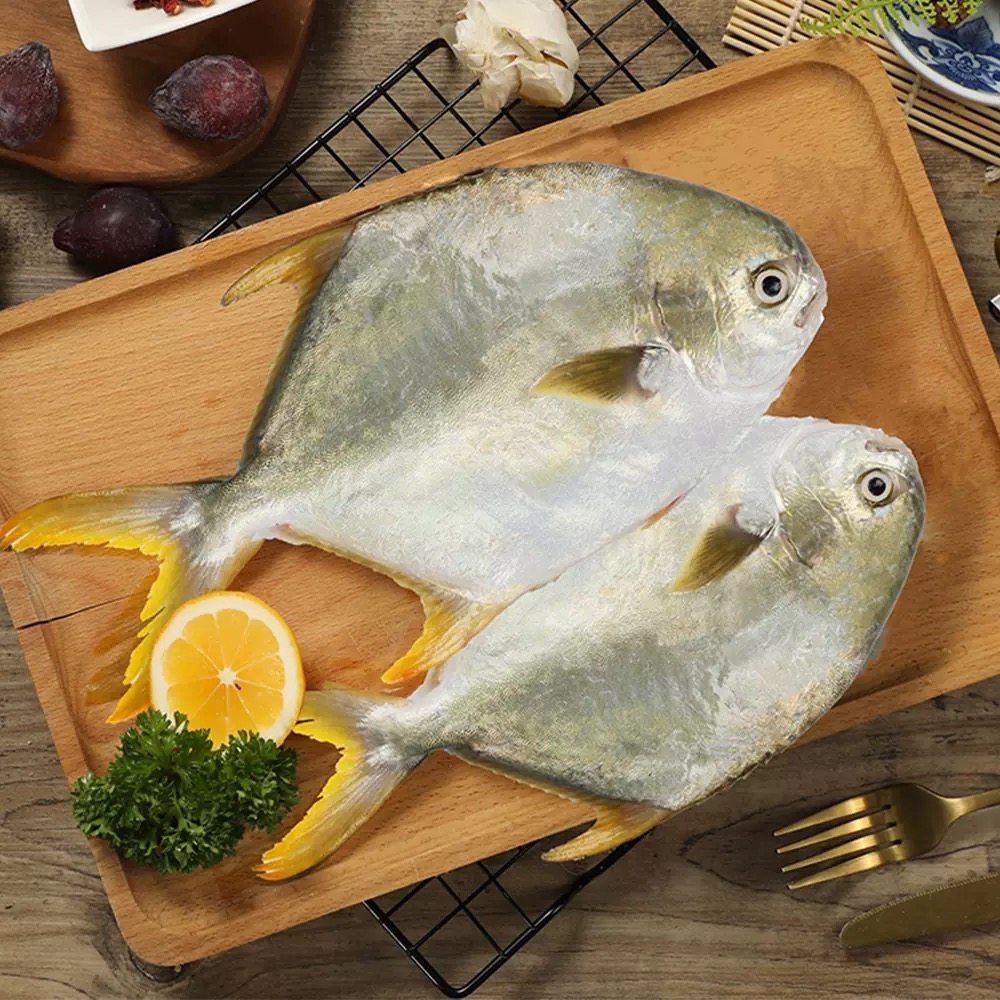 鲳鱼金鲳鱼鲜活海鲜舟山宁波冷冻新鲜野生深海海淡水鱼类