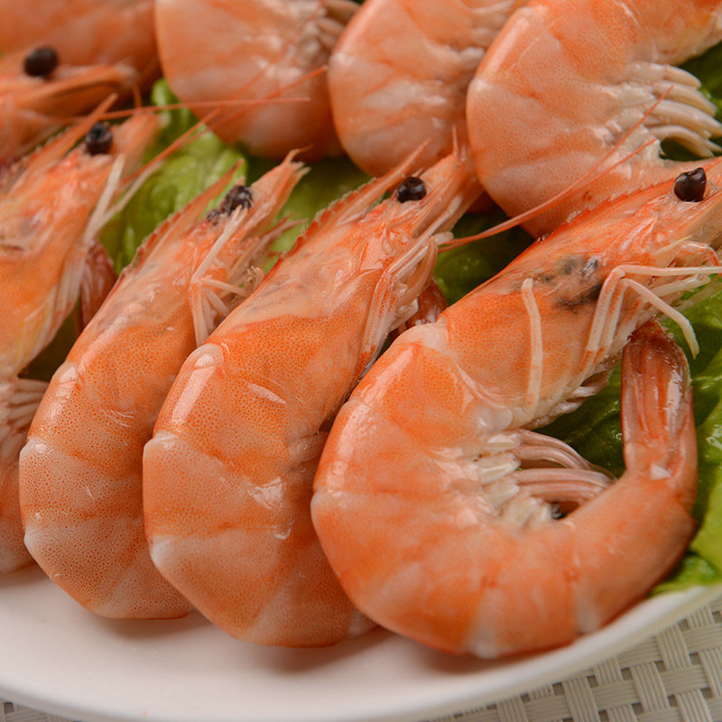 野生海新鲜现捕海虾青岛大虾海鲜基围活虾