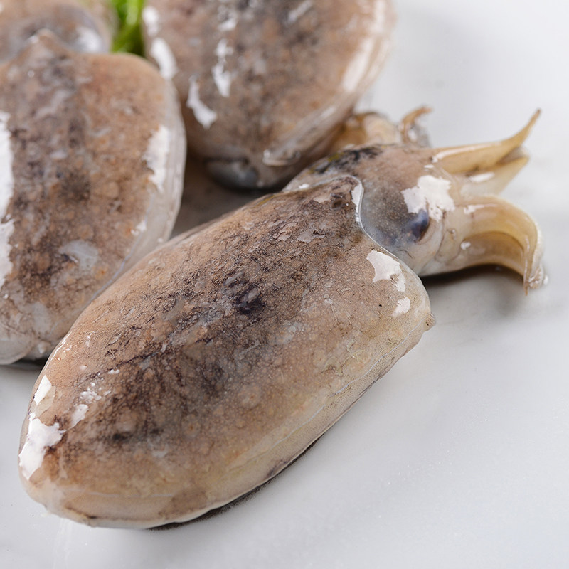 小墨鱼 新鲜海鲜野生乌贼鱼墨斗鱼目鱼墨鱼仔目鱼仔 500克