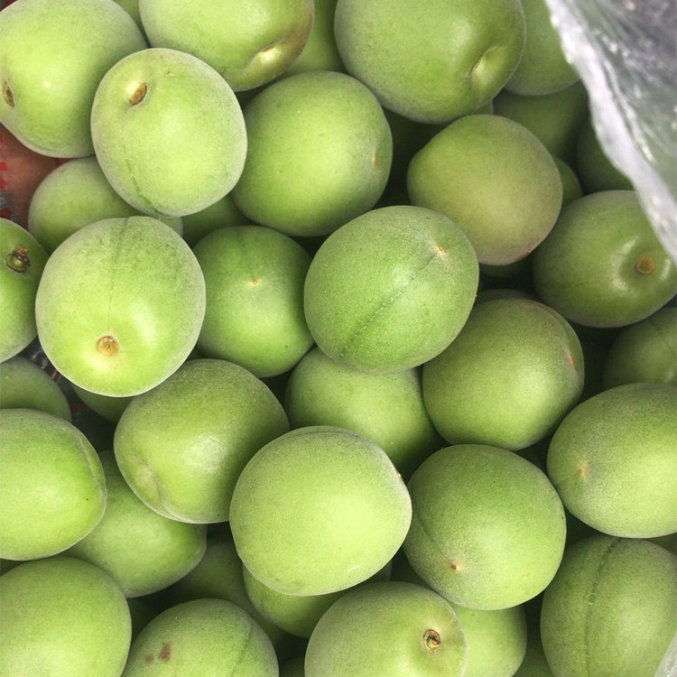 2018新鲜青梅上市梅子野生酸梅果现摘现发新鲜水果青梅酒5斤散装