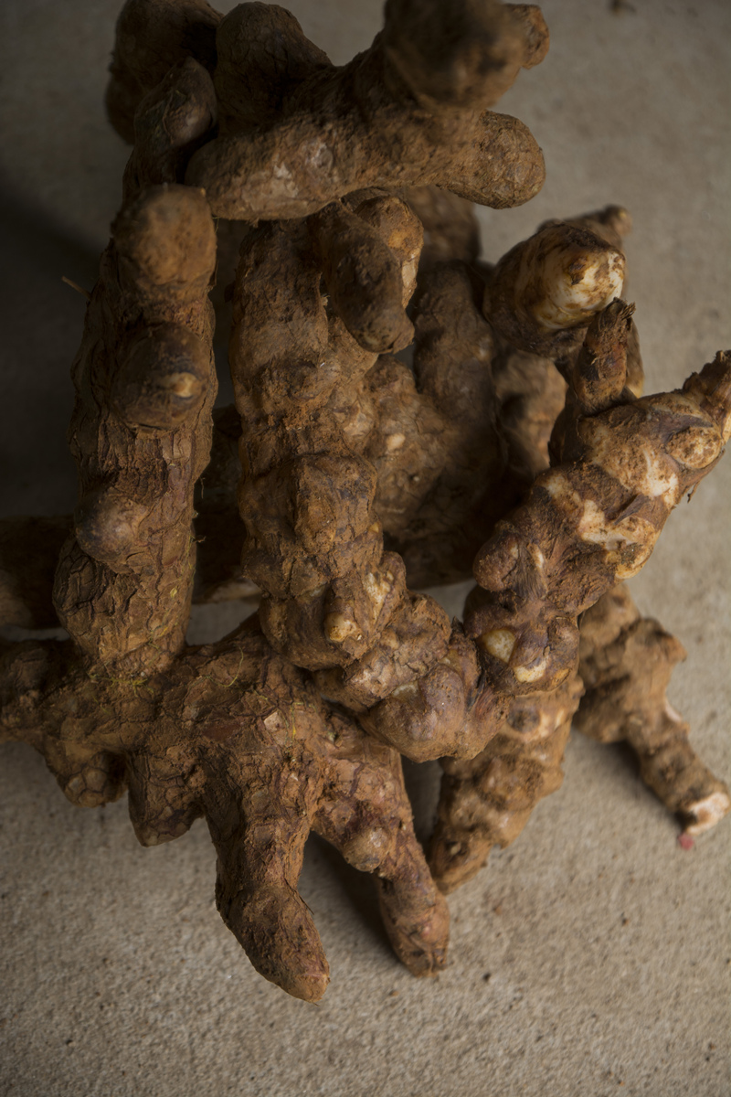 广西容县特产深山买野生新鲜土茯苓每件500克拍三斤包邮