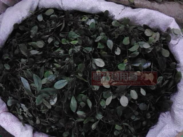 包邮中草药材 野生新鲜抱石莲 石瓜子 金龟藤 抱树莲 飞连草 500g