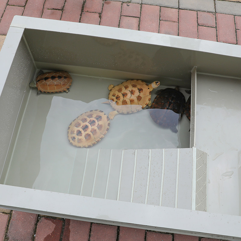 龟池养殖种龟沙池繁殖pp塑料龟箱石钱龟池鱼缸