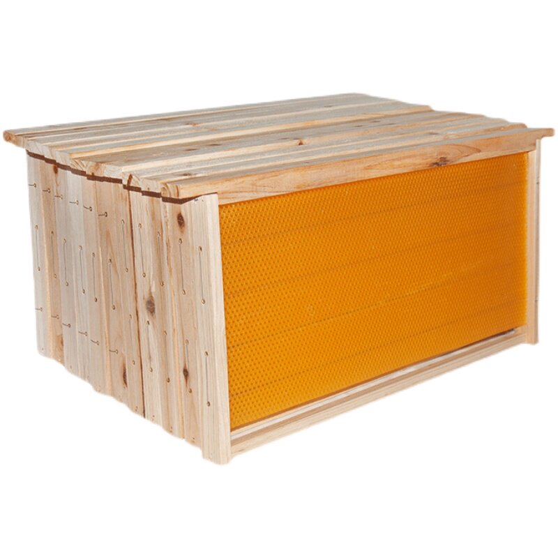 带框巢础中蜂巢础片蜜蜂成品巢框意蜂巢础片巢脾巢基养蜂工具全套