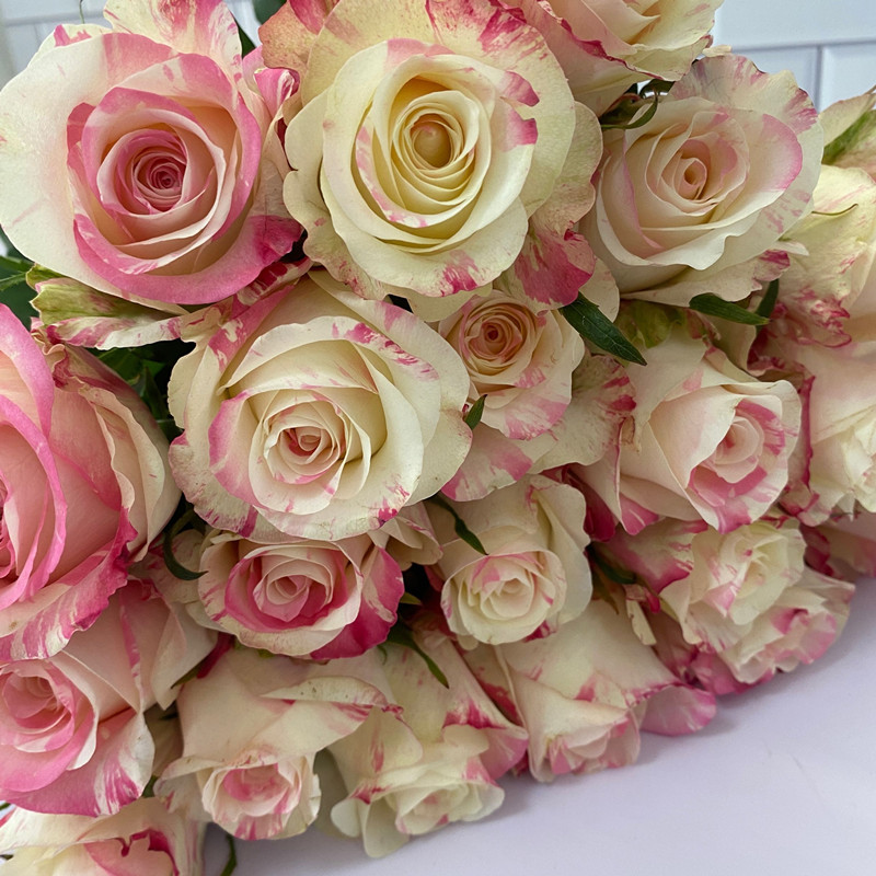 级直批霓裳玫瑰渐变双色优质品水养鲜花居家摆设鲜花速递同城