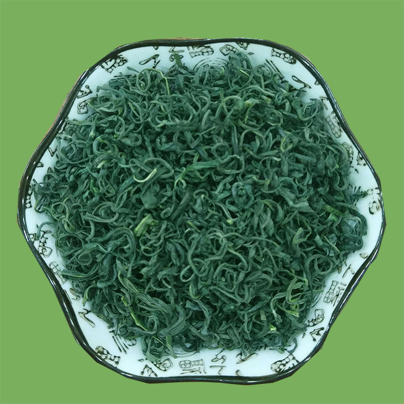 绿茶2022年新茶正宗草青茶叶明前一级浓香香型日照绿茶