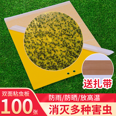 家用粘虫板黄板双面黄一体果实大棚专用篮板蓟马诱虫果园其它园艺用品