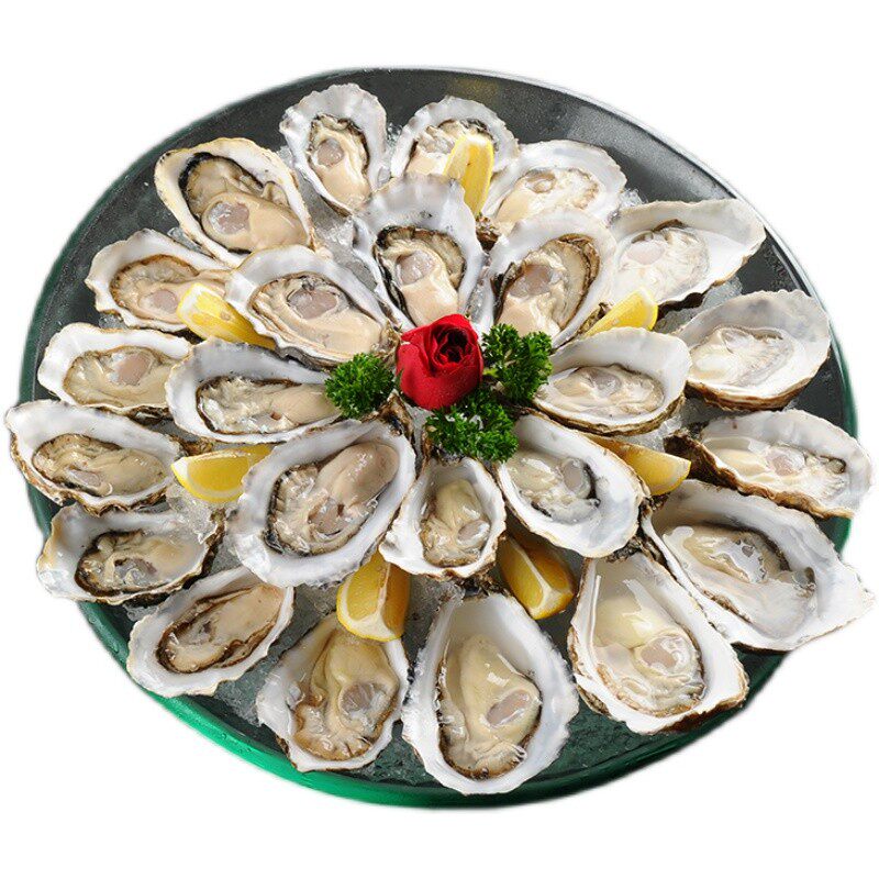 法国空运进口水晶生蚝特大n2海鲜刺身鲜活生蚝