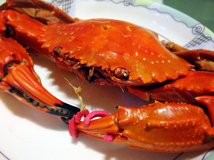 野生大红鲜活赤甲螃蟹新鲜石夹红火燎蟹海蟹其它