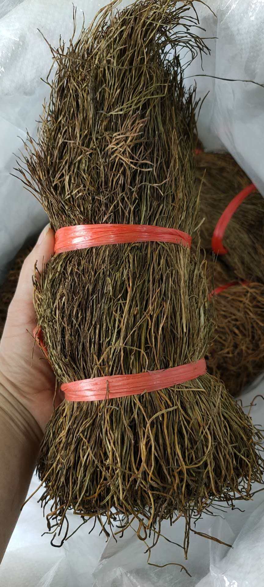 石侧柏石扫把中草药2020新货石刷把泡酒去风石寄生铁扫把250g包邮