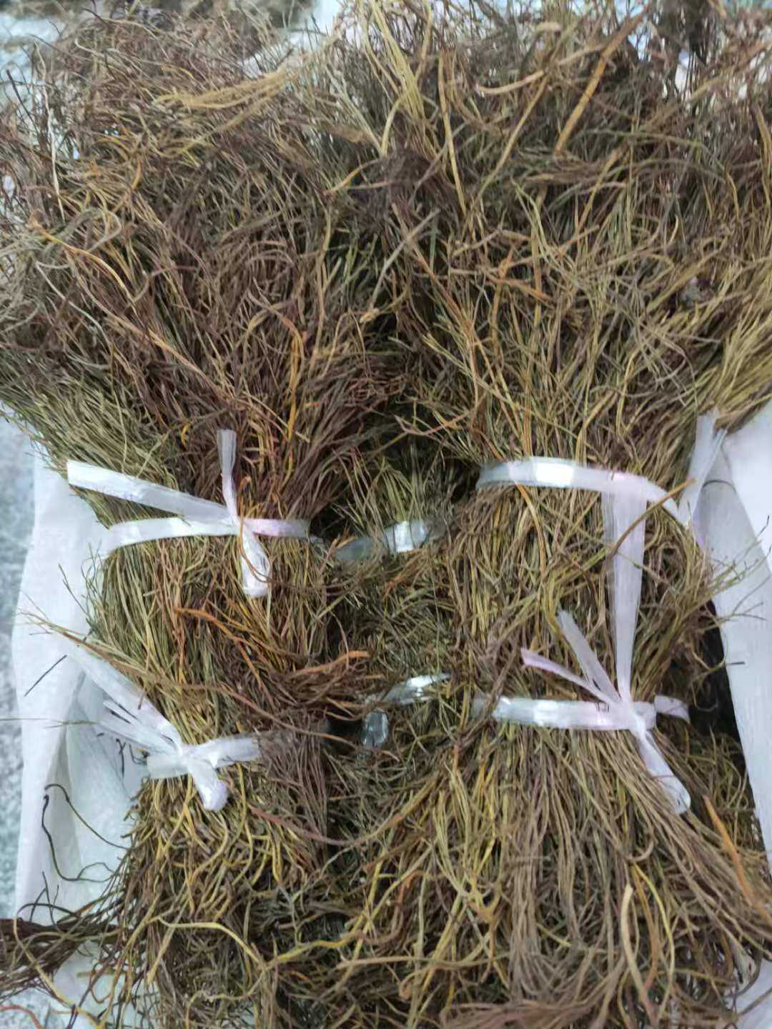 扫把石侧柏泡酒250g生铁寄生去风石新货石刷2020其他药食同源食品