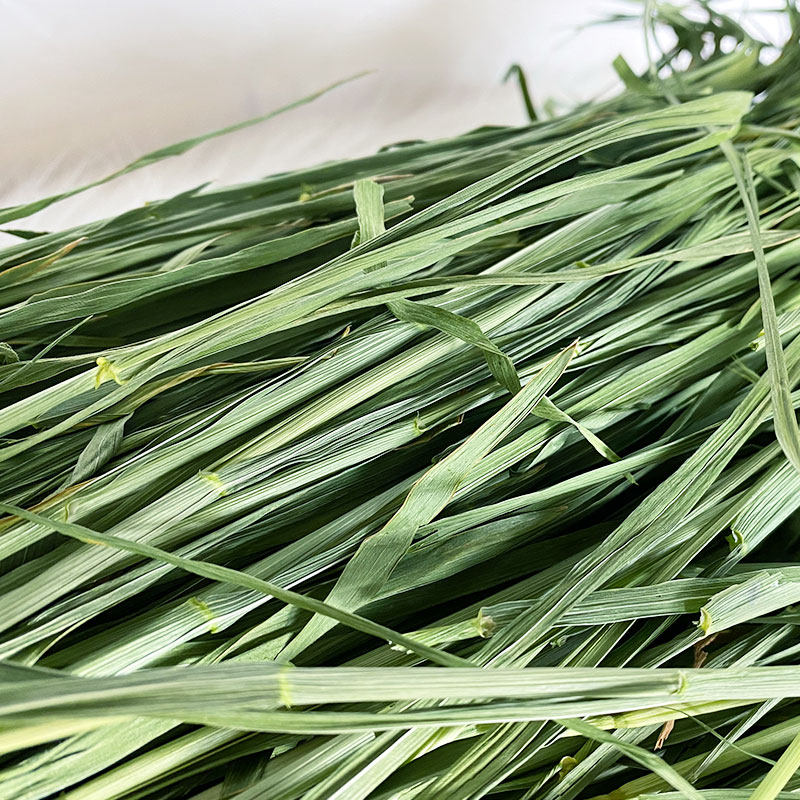 20年新草烘干小麦草1kg箱装兔兔干草兔子龙猫其他