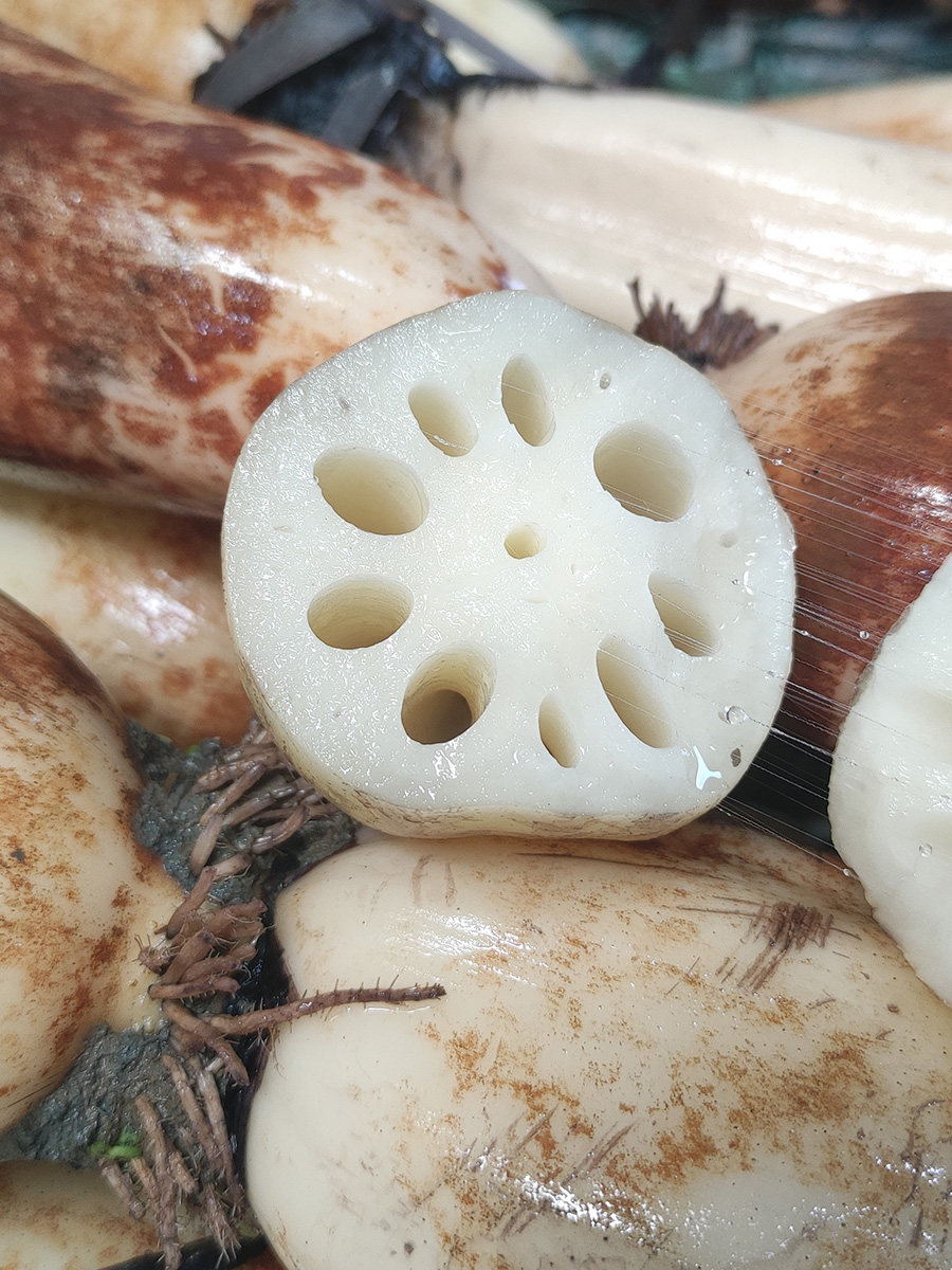 洪湖莲藕新鲜脆藕嫩藕清甜可口现挖现发湖北莲藕