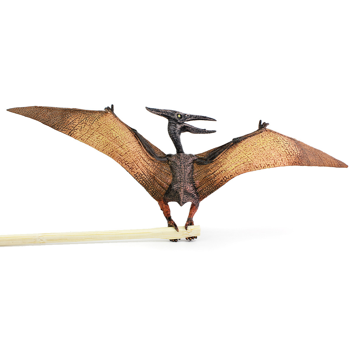 翼龙侏罗纪无齿玩具恐龙动物模型实心仿真双型仿真