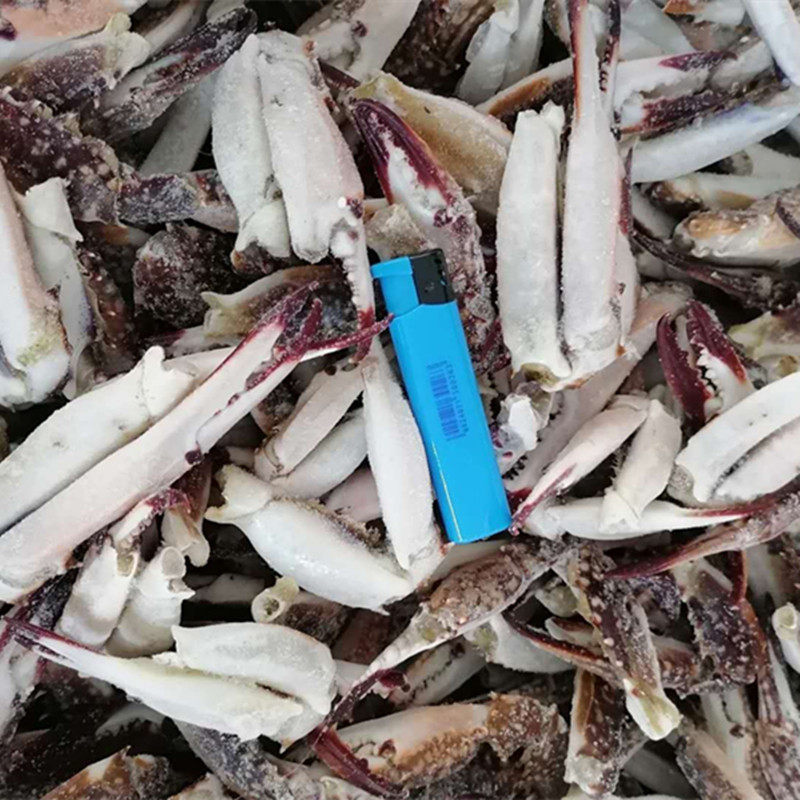 蟹钳包邮丹东新鲜冷冻大飞梭子花蟹钳新鲜食其它