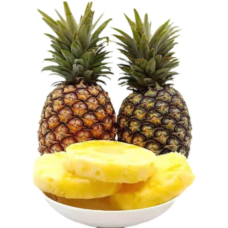 西瓜牛奶台湾四季手撕凤梨瓜地菠萝金钻16号果树