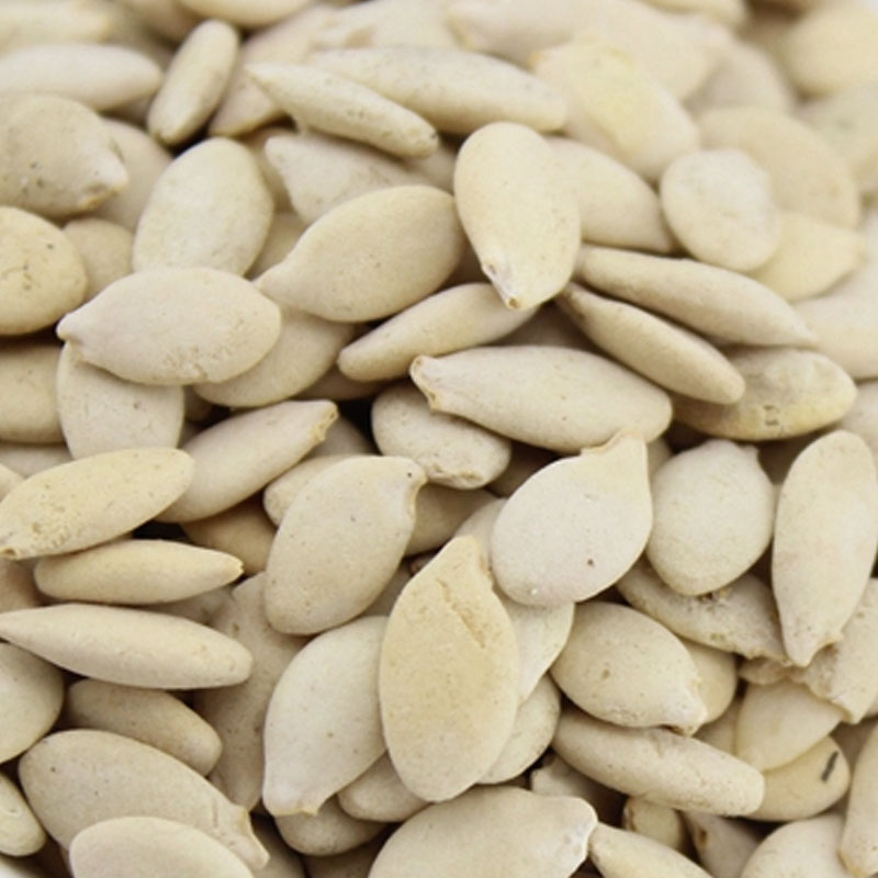 冬瓜瓜子瓜籽生冬白瓜子500g2斤包农产品初加工其他药食同源食品