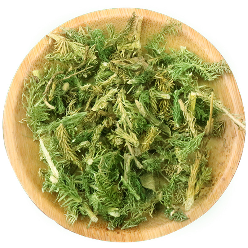 伸筋草新草中药材舒筋草野生狮子尾500g包邮搭远志益智仁配三宝茶