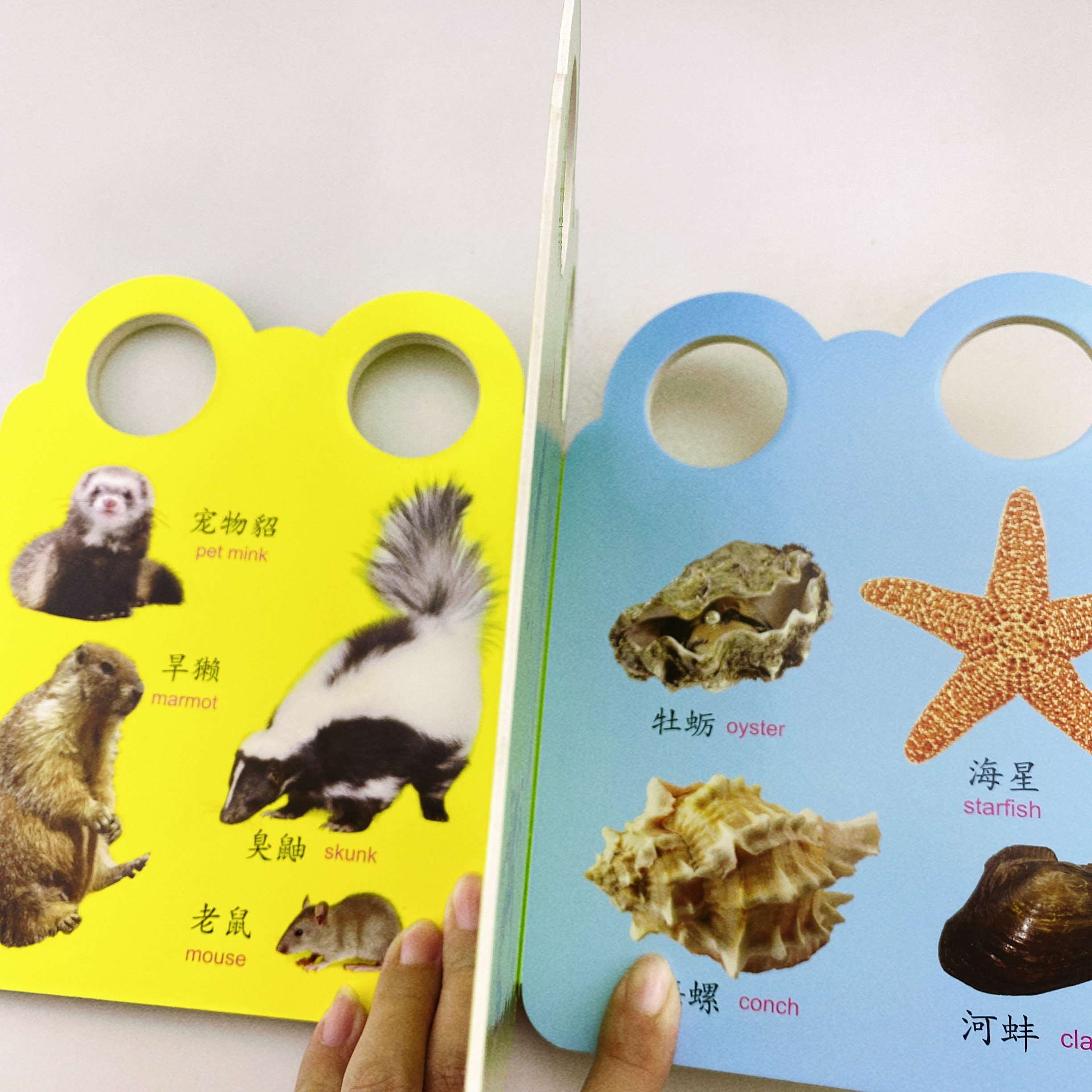 常见动物认知卡片彩图手提书早教认物儿童看图认动物图片撕不烂婴儿小