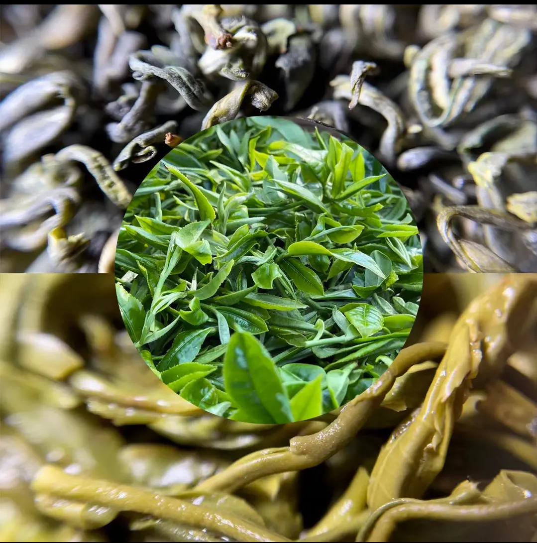 云南特产双柏白竹山竹山绿茶云雾100g袋装包邮特色产区绿茶