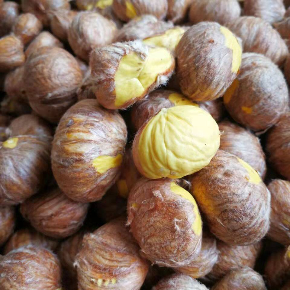 坏果包赔新鲜野生板栗当季油栗现剥去壳去皮新鲜板栗