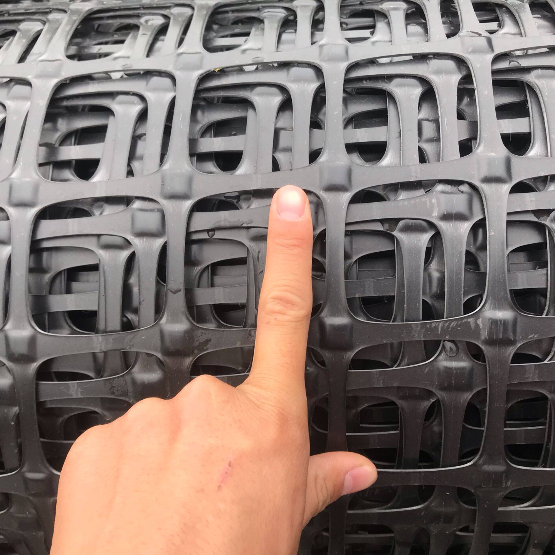 绿色塑料围网养殖防护网鸡鸭护栏网塑胶网隔离网