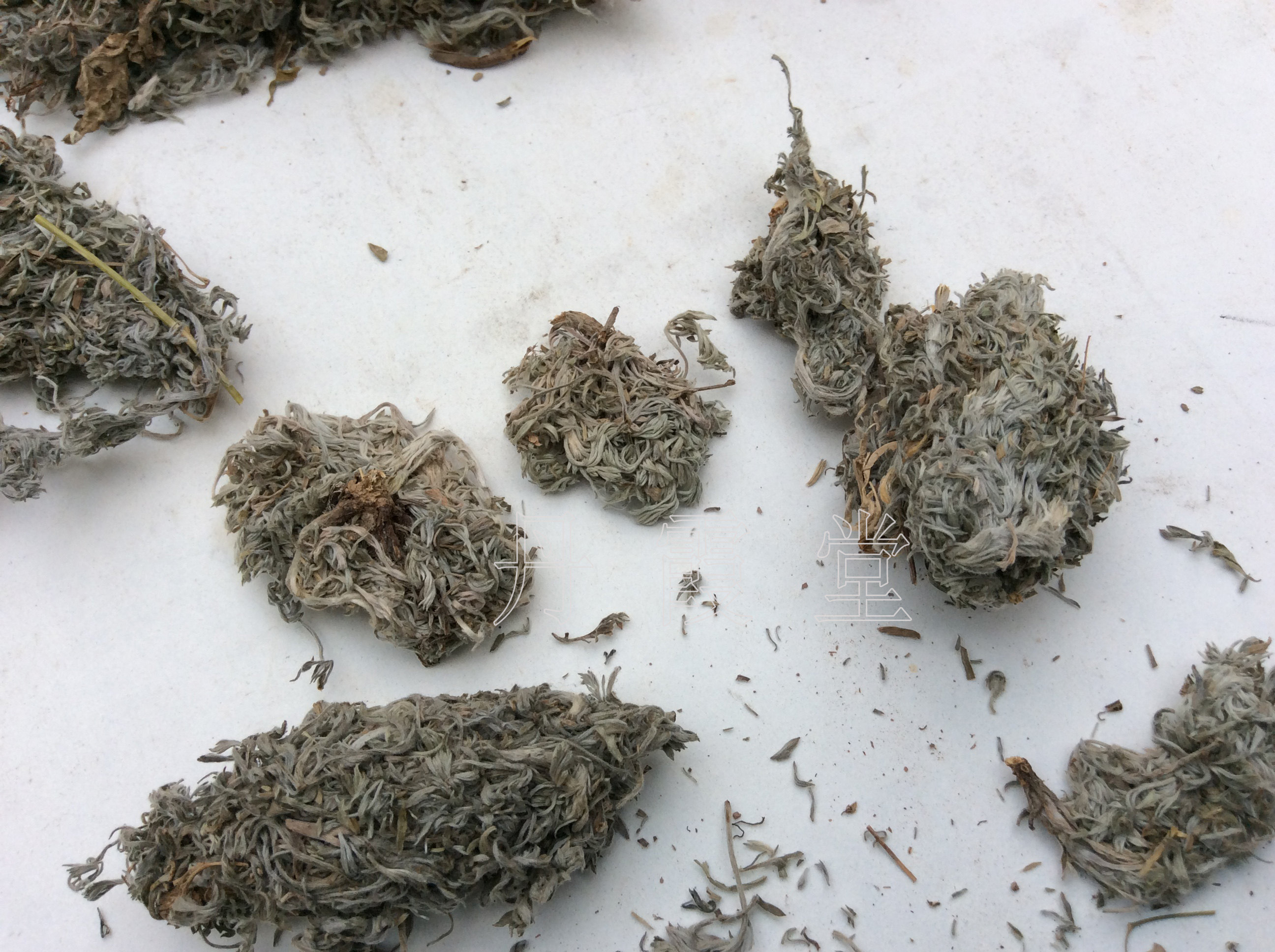 黄胆野生菌陈茵陈篙绵陈清湿热超标中药材中草药泡澡药包