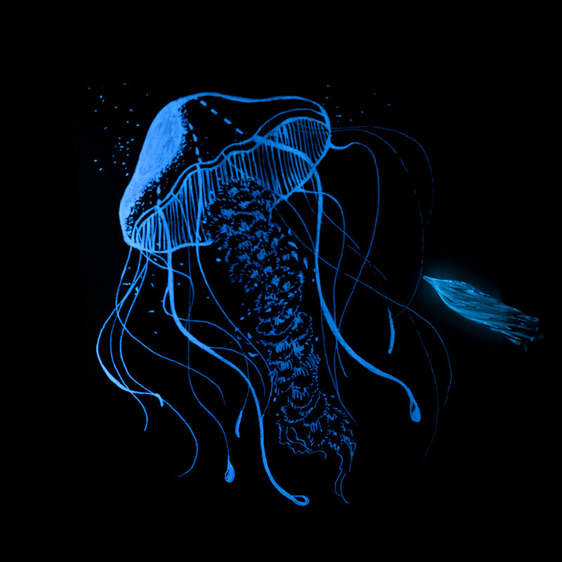 墨水紫光灯塔隐形透明彩色荧光日记钢笔用彩笔用墨水