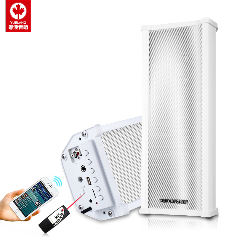 粤浪 H502有源蓝牙防水音柱户外室外室内壁挂式U盘音箱店铺餐厅商场超市门头挂墙广告优盘音响无线广播喇叭 - 图0