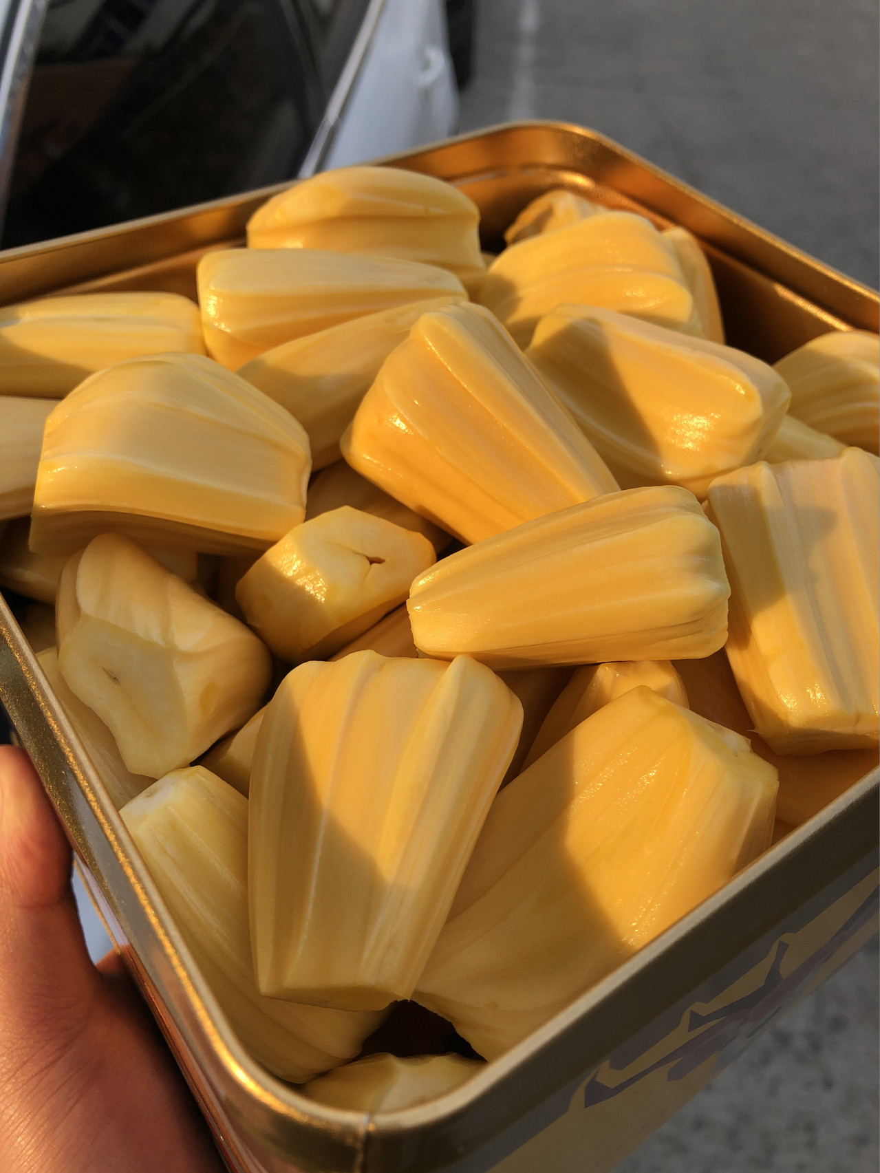 越南南红菠萝蜜菠萝912斤新鲜应季水果波罗蜜泰国菠萝蜜