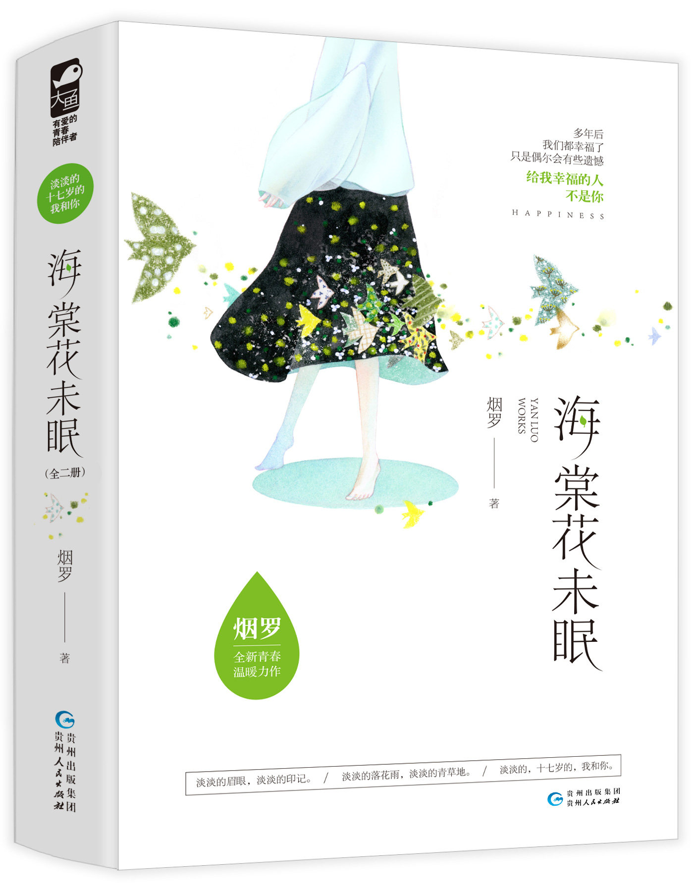 海棠花未眠夏天开的华盛书繁实体言情小说校园都市青春