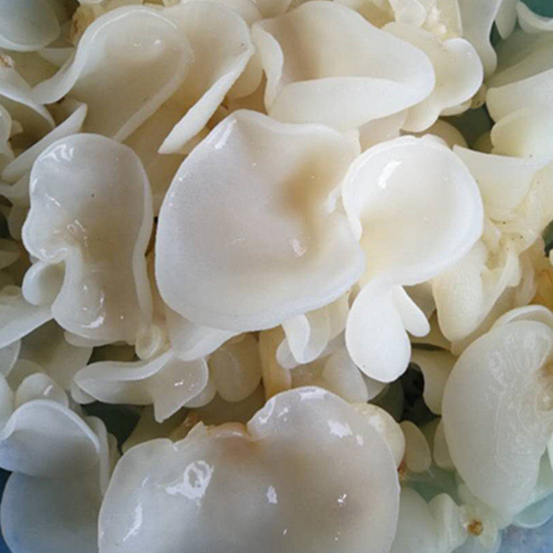 竹耳菌菇竹子菇玉木耳白竹菇白玉500g毛白耳买银耳