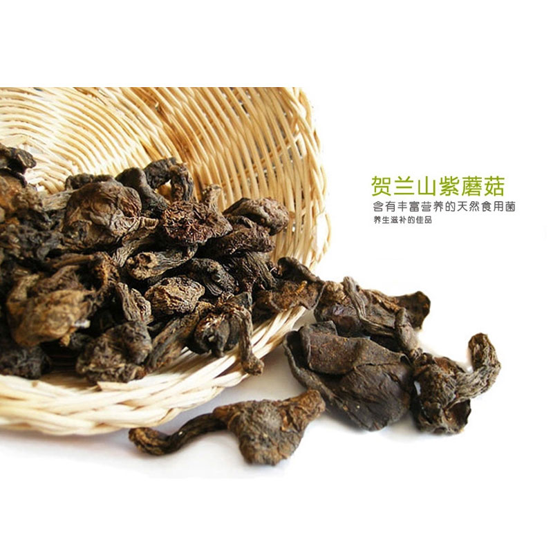 贺兰山野生紫蘑菇100g*4袋装宁夏特产贺兰山特产野生天然野生蘑菇