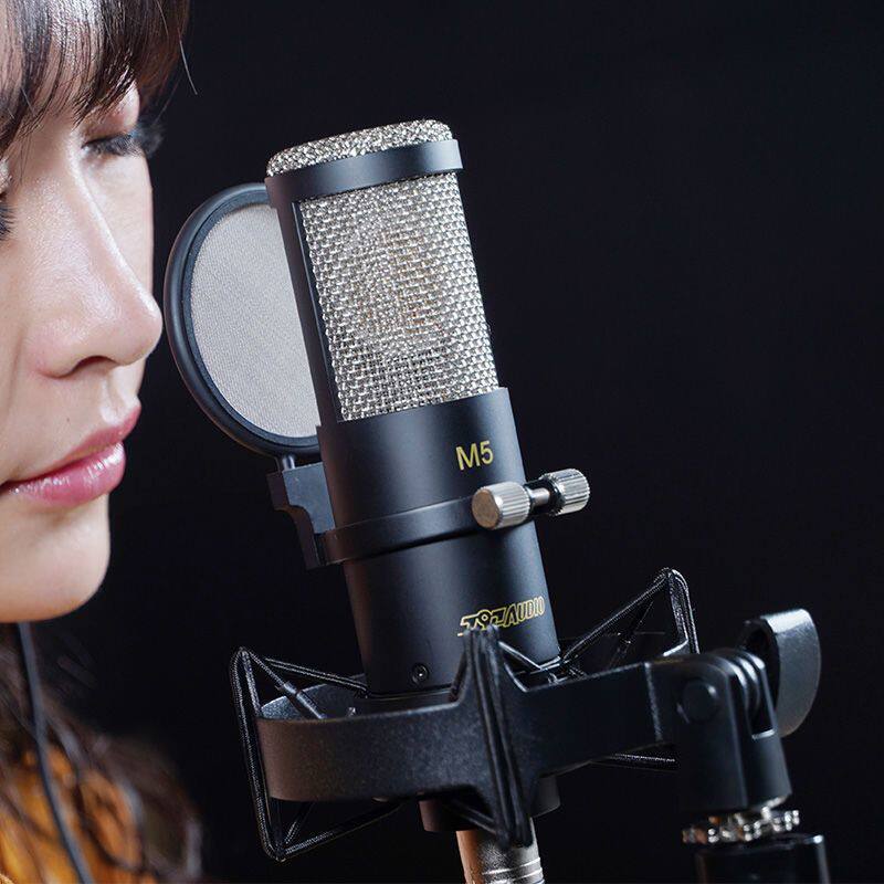 北京m5电容麦克风直播唱歌专用大振话筒网红麦克风