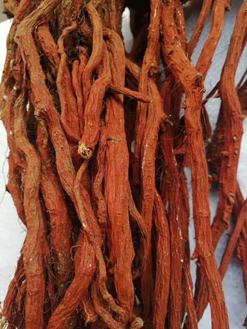 丹参野生500g特级正品中药材紫红无硫整棵粉茶丹参