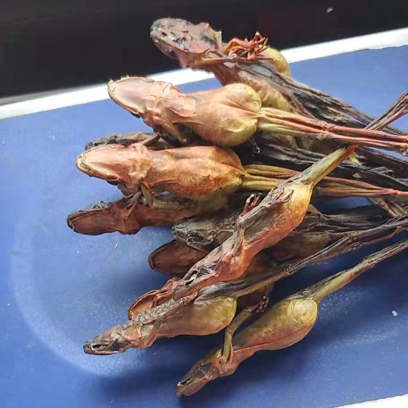 雪蛤干整只林蛙干8克 蛤蟆干礼盒长白山雪蛤油 纯干货2020年新货-mc母