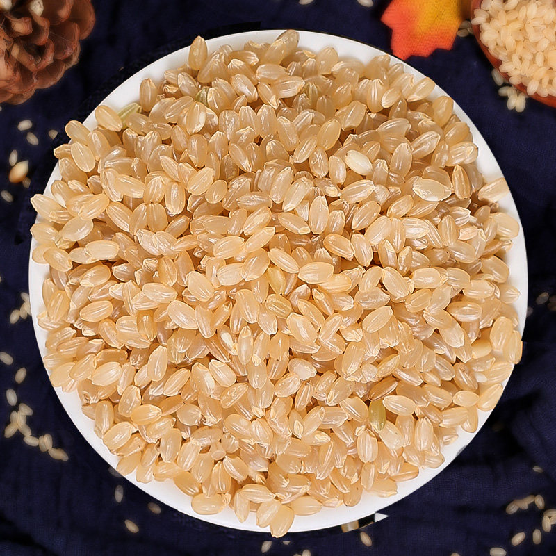 糙米东北玄米农家自产新米5斤粳米杂粮胚芽糙米