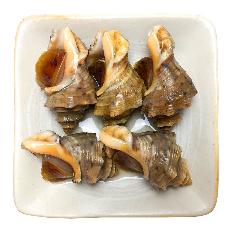 包邮 温州特产野生辣螺海螺鲜活腌制即食醉辣螺水产贝类制品500g