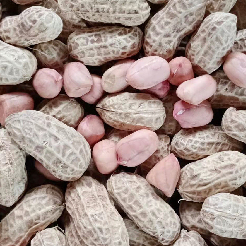 粉皮花生2021年新货重庆特产农家现挖晒干颗粒花生